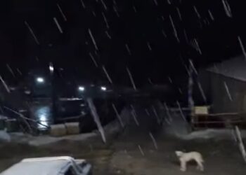 Καστοριά: Το πρώτο χιόνι στον Γράμμο, σε 1.350 μέτρα υψόμετρο (VIDEO)