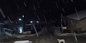 Καστοριά: Το πρώτο χιόνι στον Γράμμο, σε 1.350 μέτρα υψόμετρο (VIDEO)