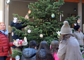 Μαθητές στόλισαν τα χριστουγεννιάτικα δέντρα των μουσείων Αιανής & Κοζάνης