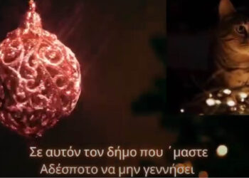 Αδεσποτούλια λένε τα κάλαντα αλλιώς! (βίντεο)