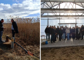 Καινοτομία  στο Λιμνοχώρι: Αξιοποίηση γεωθερμίας για την βιώσιμη ανάπτυξη θερμοκηπίων