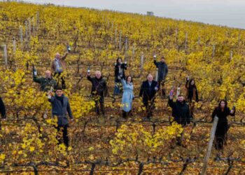 Αμύνταιο: Περπατήσαμε στους αμπελώνες και δοκιμάσαμε τα κρασιά των τεσσάρων Λιμνών – Άρθρο του “Γαστρονόμου”
