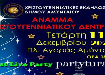 Αναβολή ανάμματος Χριστουγενιάτικου Δέντρου στο Αμύνταιο – Τετάρτη 11/12 η νέα ημερομηνία