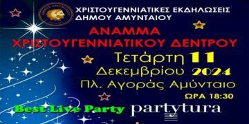 Αναβολή ανάμματος Χριστουγενιάτικου Δέντρου στο Αμύνταιο – Τετάρτη 11/12 η νέα ημερομηνία