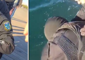 VIDEO: Άνδρες της ΕΛ.ΑΣ. έσωσαν 60χρονο που έπεσε στον Θερμαϊκό