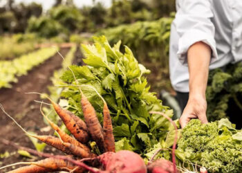 Δυτική Μακεδονία: Παράταση στην υποβολή αιτήσεων για την «Εγκατάσταση Γεωργών Νεαρής Ηλικίας»