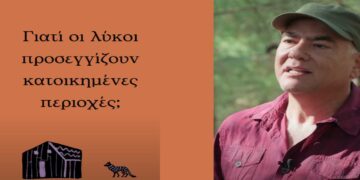 Ερωτήσεις και απαντήσεις για τον λύκο στην Ελλάδα από την Καλλιστώ (βίντεο)