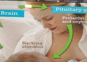 Εξωστρέφεια και Επιστημονική Επιμόρφωση: Δράσεις του Τμήματος Μαιευτικής για τον Μητρικό Θηλασμό και την Περιγεννητική Φροντίδα