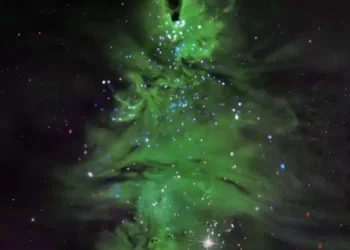 Αστρικό σμήνος σχηματίζει ένα… χριστουγεννιάτικο δέντρο – Η εντυπωσιακή φωτογραφία της NASA