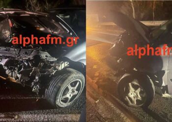 Καστοριά: Τροχαίο ατύχημα, προσπάθησε να αποφύγει αρκούδα – Στο νοσοκομείο ο οδηγός (φωτογραφίες)
