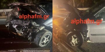 Καστοριά: Τροχαίο ατύχημα, προσπάθησε να αποφύγει αρκούδα – Στο νοσοκομείο ο οδηγός (φωτογραφίες)