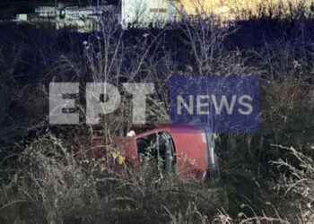 Καστοριά: Στο νοσοκομείο ο οδηγός του ΙΧ που προσπάθησε να αποφύγει σκύλο