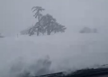 Βασιλίτσα: 30 εκατοστά χιόνι και συνεχίζει! (VIDEO)