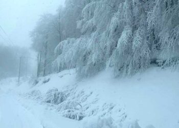 Φλώρινα: Με τη χρήση αντιολισθητικών αλυσίδων ο δρόμος Άνω Υδρούσσα – Νυμφαίο (Δείτε κατάλευκες εικόνες)
