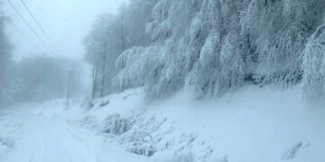 Φλώρινα: Με τη χρήση αντιολισθητικών αλυσίδων ο δρόμος Άνω Υδρούσσα – Νυμφαίο (Δείτε κατάλευκες εικόνες)