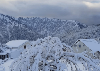 Παραμυθένιο λευκό τοπίο στα ορεινά της Μακεδονίας – Πού χρειάζονται αλυσίδες