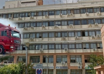 Διαδικτυακό σεμινάριο για επαγγελματίες μεταφορείς ζώντων ζώων θα πραγματοποιηθεί τον Φεβρουάριο