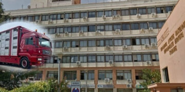 Διαδικτυακό σεμινάριο για επαγγελματίες μεταφορείς ζώντων ζώων θα πραγματοποιηθεί τον Φεβρουάριο