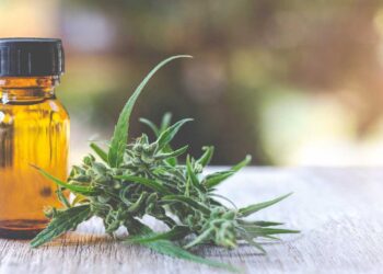 Συμβουλές για Καλύτερο Ύπνο: Πώς να Δημιουργήσετε τη Βέλτιστη Βραδινή Ρουτίνα με τη Βοήθεια της Φύσης