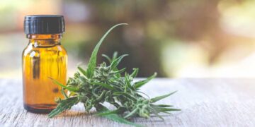 Συμβουλές για Καλύτερο Ύπνο: Πώς να Δημιουργήσετε τη Βέλτιστη Βραδινή Ρουτίνα με τη Βοήθεια της Φύσης