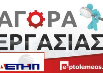 12 θέσεις για μόνιμους στην ΔΕΤΗΠ στην προκήρυξη 8Κ/2024 του ΑΣΕΠ – Δείτε τις ειδικότητες