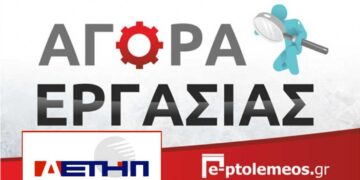 12 θέσεις για μόνιμους στην ΔΕΤΗΠ στην προκήρυξη 8Κ/2024 του ΑΣΕΠ – Δείτε τις ειδικότητες