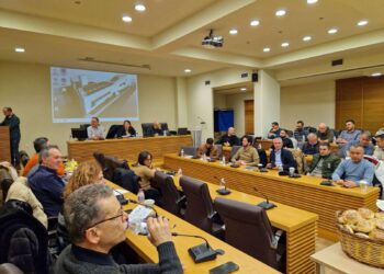 Πρώτη συνεδρίαση του Δ.Σ. Κοζάνης με κοπή πίτας και ευχές