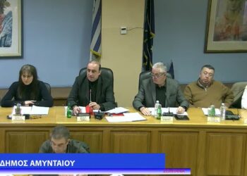 Ορεινός δήμος χαρακτηρίζεται πλέον από το ΥΠΕΣ το Αμύνταιο