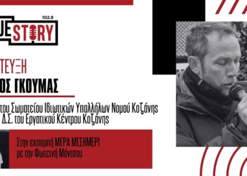 Γ. Γκούμας: “Απαιτούμε να απαγορευτεί η διανομή με μηχανάκι στις ακραίες καιρικές συνθήκες”