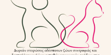 Κοζάνη: Δωρεάν στειρώσεις αδέσποτων ζώων συντροφιάς και δεσποζόμενων ζώων ευπαθών κοινωνικών ομάδων