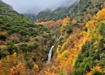 Εξόρμηση στα Πιέρια (Μονοπάτι του Ταχυδρόμου) με τον ΣΕΟ Κοζάνης την Κυριακή 12/1
