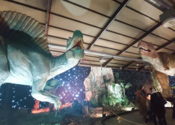 Εντυπώσεις από το “Προϊστορικό Σαφάρι” στο Πάρκο των ΔΕΙΝΟΣΑΥΡΩΝ” στη HELEXPO Θεσσαλονίκης ! (ρεπορτάζ της Κούλας Πουλασιχίδου)