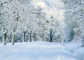 Καιρός – Αρναούτογλου: Έρχονται χιονοεκπλήξεις