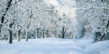 Καιρός – Αρναούτογλου: Έρχονται χιονοεκπλήξεις