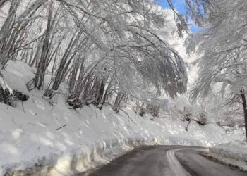 Η μαγευτική διαδρομή από Πρέσπα για Φλώρινα! (Φωτογραφίες)