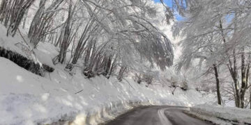 Η μαγευτική διαδρομή από Πρέσπα για Φλώρινα! (Φωτογραφίες)