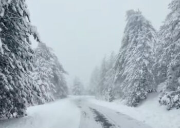 Μαγευτικό σκηνικό: Βίντεο με τις χιονισμένες “Άλπεις” των Γρεβενών