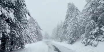 Μαγευτικό σκηνικό: Βίντεο με τις χιονισμένες “Άλπεις” των Γρεβενών
