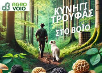 Κυνήγι Τρούφας από το Αγροβόιο την Κυριακή 16 Μαρτίου