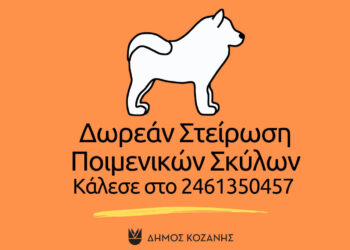 Δωρεάν στειρώσεις ποιμενικών σκύλων από τον Δήμο Κοζάνης