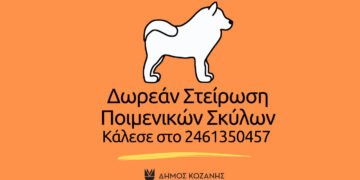 Δωρεάν στειρώσεις ποιμενικών σκύλων από τον Δήμο Κοζάνης