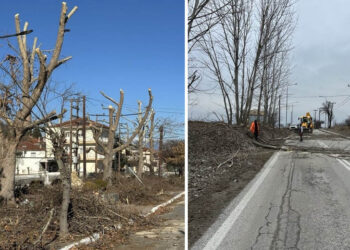 Κλάδεψαν τα επικίνδυνα δέντρα στον Δήμο Αμυνταίου (Φωτογραφίες)
