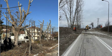 Κλάδεψαν τα επικίνδυνα δέντρα στον Δήμο Αμυνταίου (Φωτογραφίες)