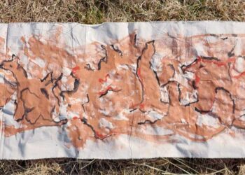 Ο Προϊστορικός Ελέφαντας του Περδίκκα: Εκπαιδευτική Δράση του Ε.Ε.Ε.ΕΚ Πτολεμαΐδας