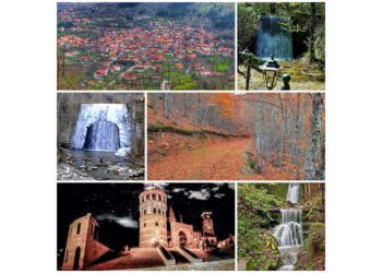 Αλέξης Γούλας: «Εκφράζω την αγωνία μου για την ολοκληρωτική απουσία του Εμπορίου από το σχεδιασμό του Δήμου»