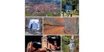 Αλέξης Γούλας: «Εκφράζω την αγωνία μου για την ολοκληρωτική απουσία του Εμπορίου από το σχεδιασμό του Δήμου»