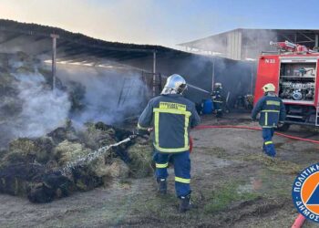 Φωτιά ξέσπασε σε κτηνοτροφική μονάδα στο Αρμενοχώρι – Άμεση ανταπόκριση της Πολιτικής Προστασίας του Δήμου Φλώρινας