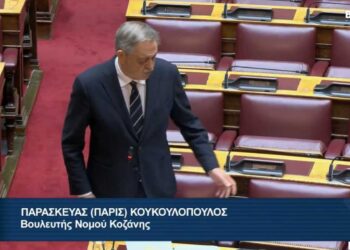 Π. Κουκουλόπουλος: «Η Ρήτρα Δίκαιης Μετάβασης σε δέκα απλά παραδείγματα»