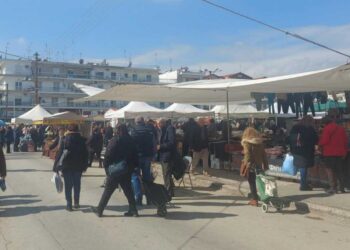 Αυξημένη η αγοραστική κίνηση σήμερα Τετάρτη 26/2 /25 στη Λαϊκή Αγορά της Πτολεμαΐδας (ρεπορτάζ της Κούλας Πουλασιχίδου)