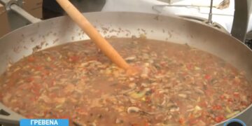 Το μανιταρογλέντι της αποκριάς στα Γρεβενά – Η περιοχή με περισσότερα από 2.500 είδη μανιταριών